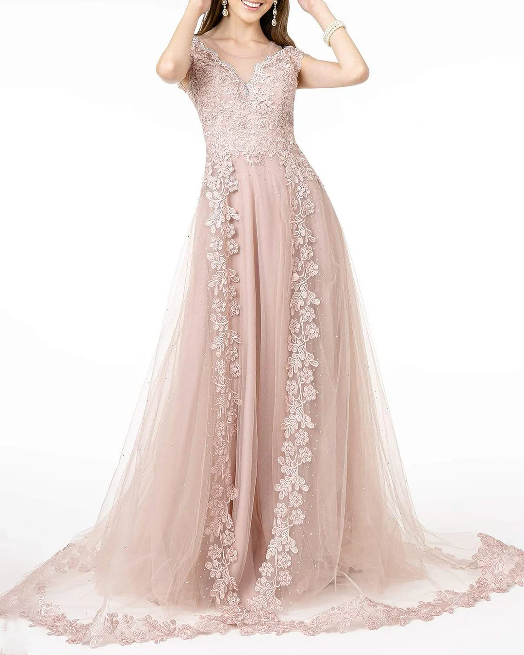 Elegant Lace Mesh Dress