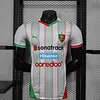 Joyfball 2025/2026 Player Version Palestine White Football Jersey 1:1 Thai Quality（The player version jersey is a bit tight, please pay attention to the size selection）