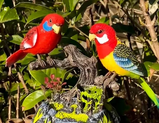 Electric Battery Operated Control Voice-Birds