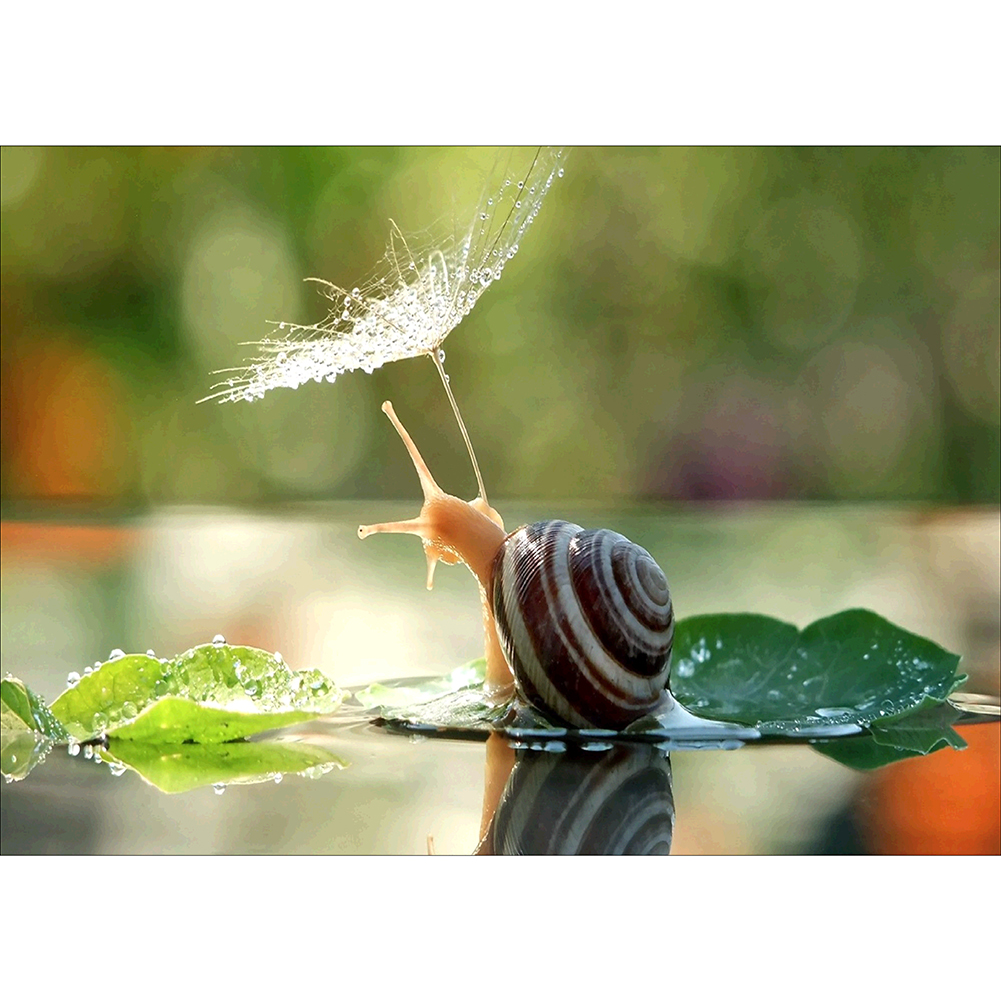 

40*30CM - Round Drill Diamond Painting - Snail, 501 Original