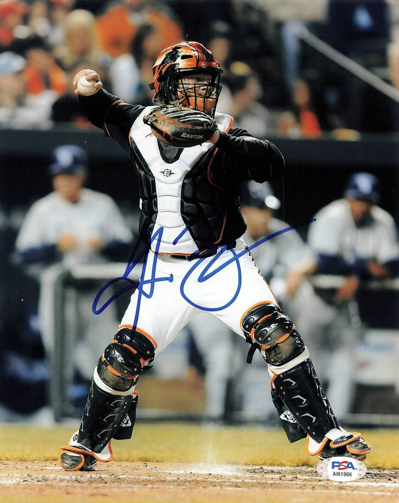 GREGG ZAUN signed 8x10 Photo Poster painting PSA/DNA Autographed