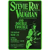 Stevie Ray - Metal Tin Signs(8*12Inch/12*16Inch)