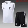 Joyfball 2025/2026 Juventus Vest training White Jersey 1:1 Thai Quality