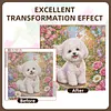 Diamond Painting -5D Full Round Drill Bichon Frise Puppy(40x40cm)