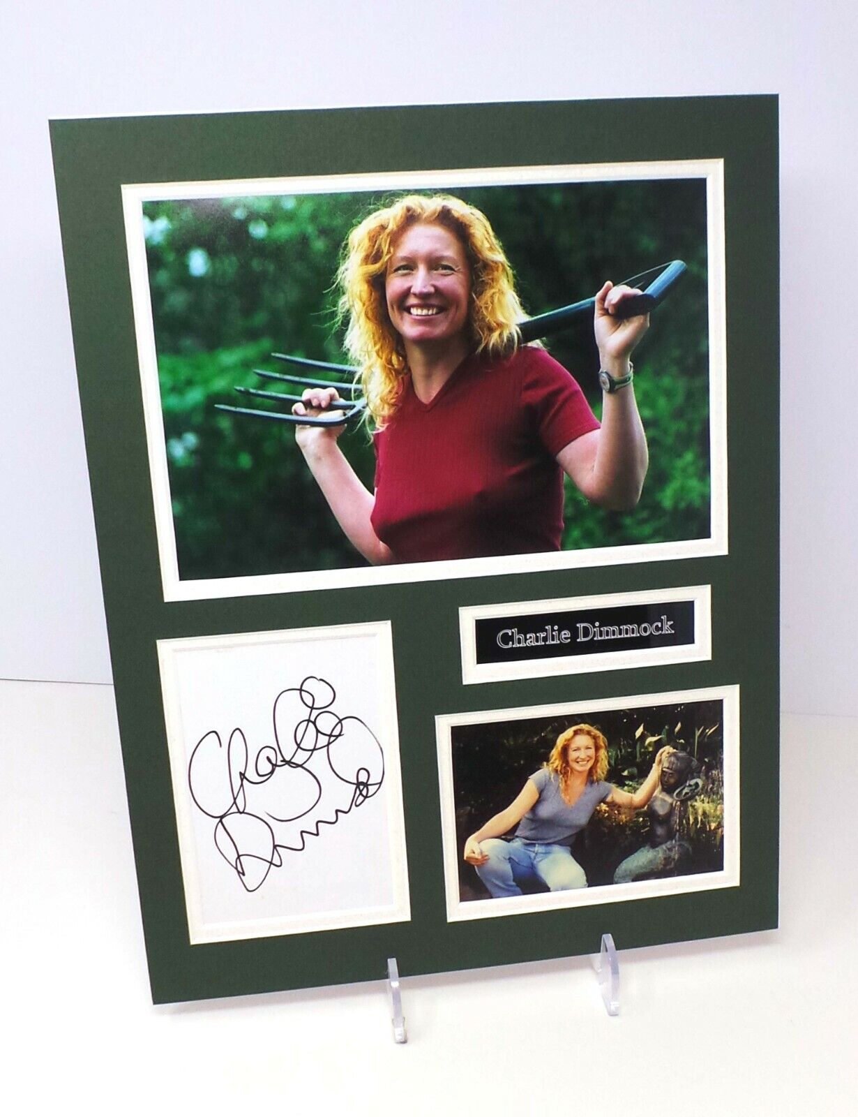 Charlie DIMMOCK TV Gardening Presenter Signed Mounted Photo Poster painting Display AFTAL RD COA