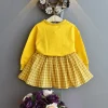 Kid Baby Girl Autumn Embroidered Long Sleeve Plaid Skirt Dress 2 Pcs Set