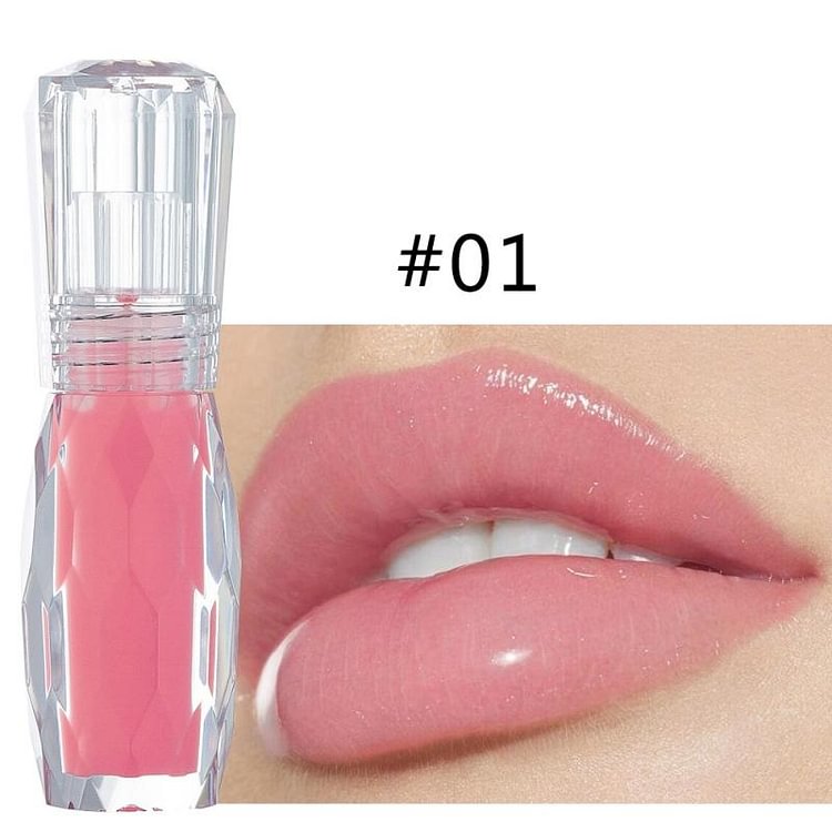 Moisturizing Gloss Plumping Lip Gloss