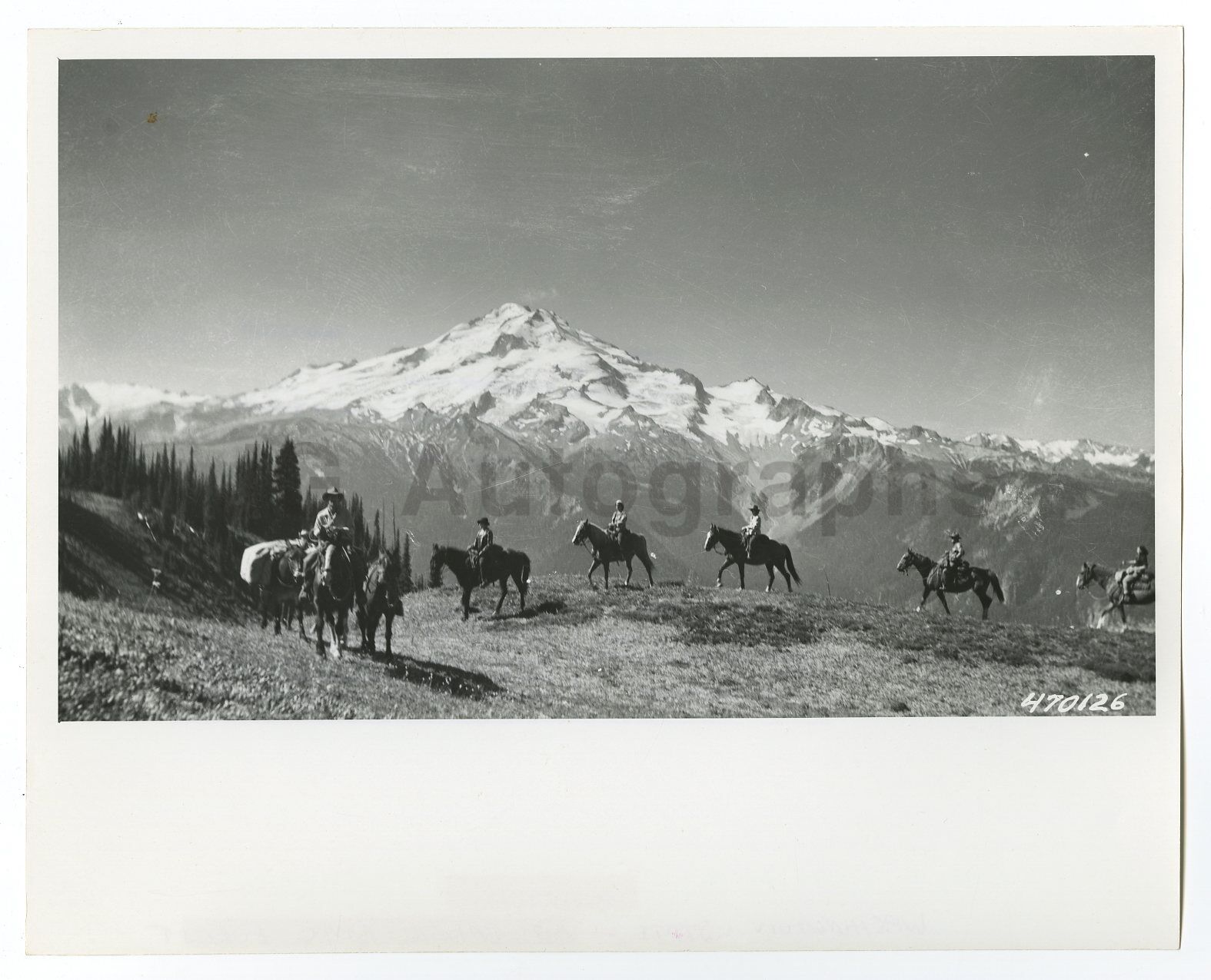 Washington State History - Forest Rangers - Vintage 8x10 Photo Poster painting by William Parke