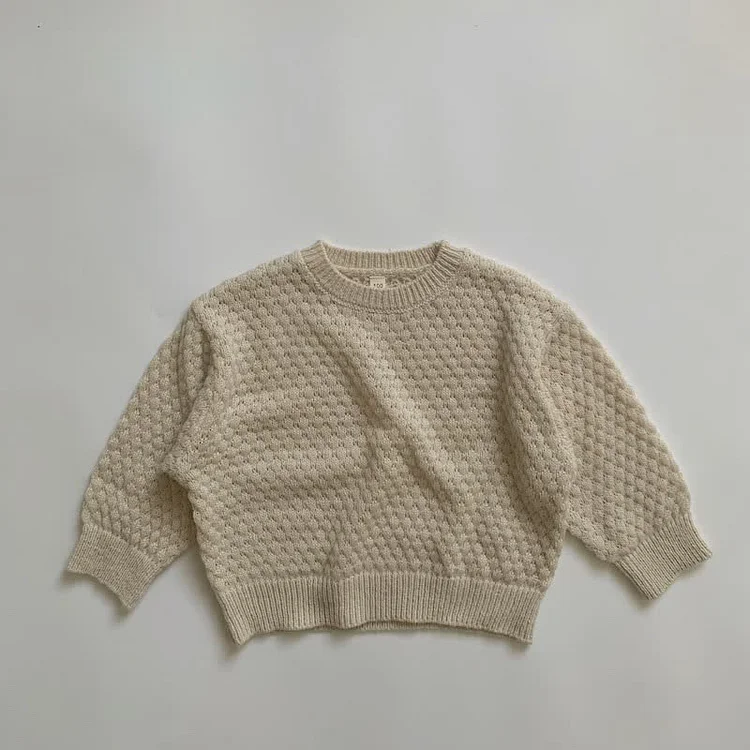 Toddler Boy Solid Color Knitted Sweater