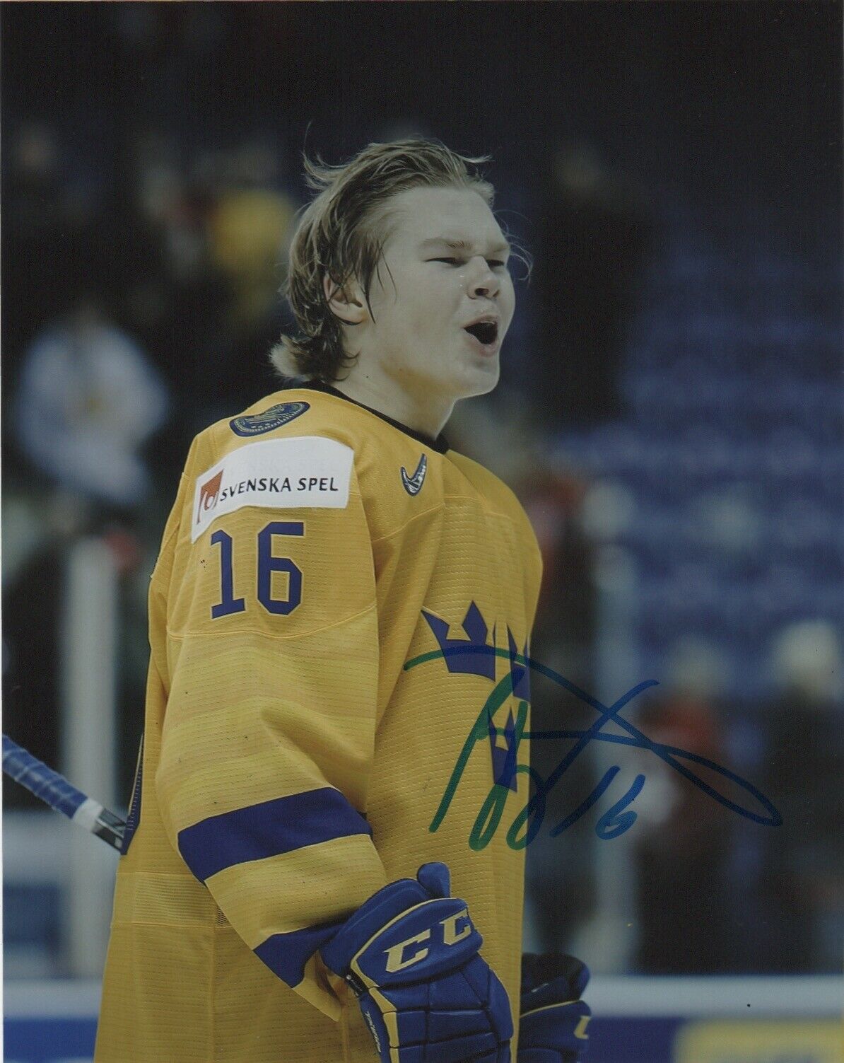 Team Sweden Filip Westerlund Signed Autographed 8x10 NHL Photo Poster painting COA #2