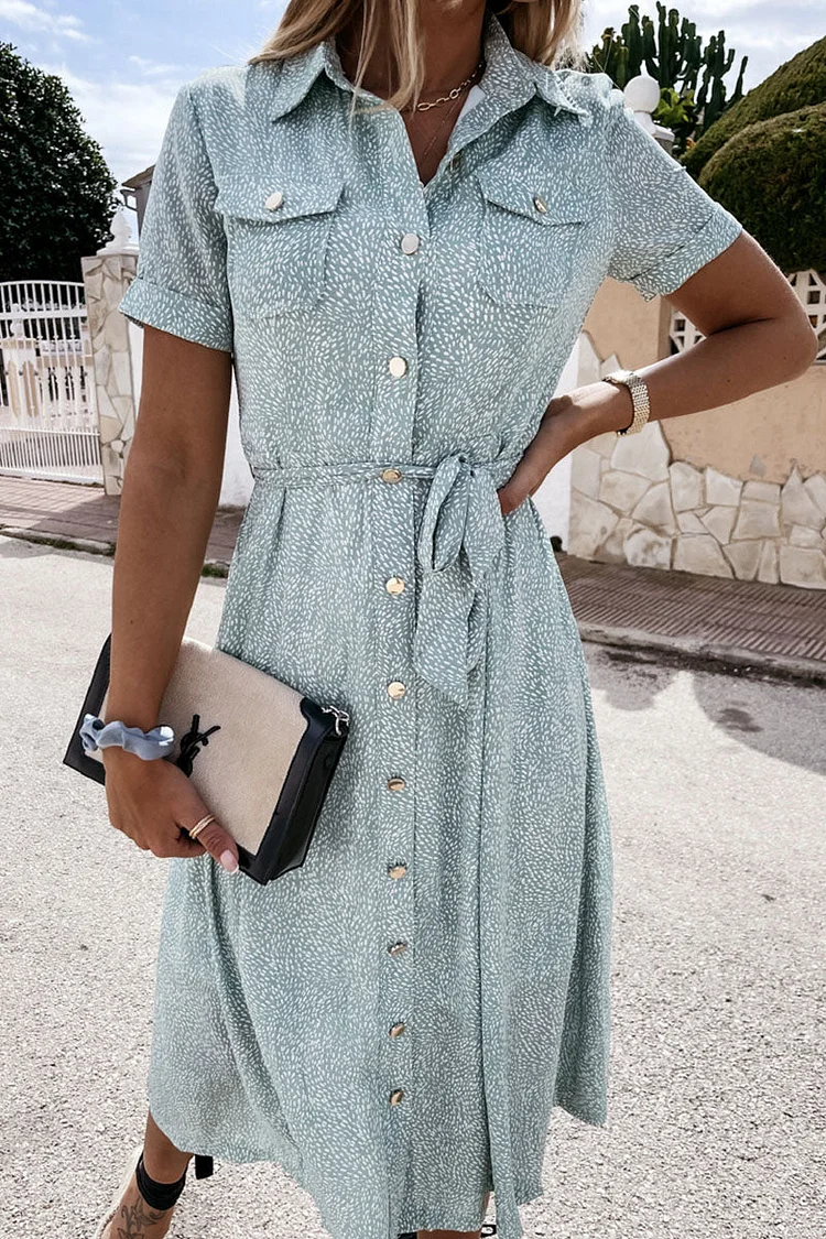 Fashion Street Print Frenulum Turndown Collar A Line Dresses(3 Colors)