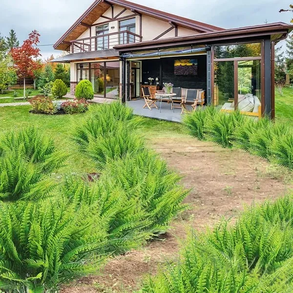 UV Resistant Lifelike Artificial Boston Fern