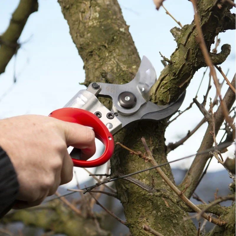 Set complet de tăietor electric cu dublă baterie &ndash; Ideal pentru grădinărit!