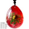 Insect Amber Pendant Natural Butterfly Specimen Insect Amber Necklace Children's Hanging Accessories