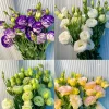 🔥&Tau;&epsilon;&lambda;&epsilon;&upsilon;&tau;&alpha;ί&alpha; &mu;έ&rho;&alpha; &pi;ώ&lambda;&eta;&sigma;&eta;&sigmaf;💝Eustoma Thornless Rose💐&Sigma;&pi;ό&rho;&omicron;&iota; Lisianthus