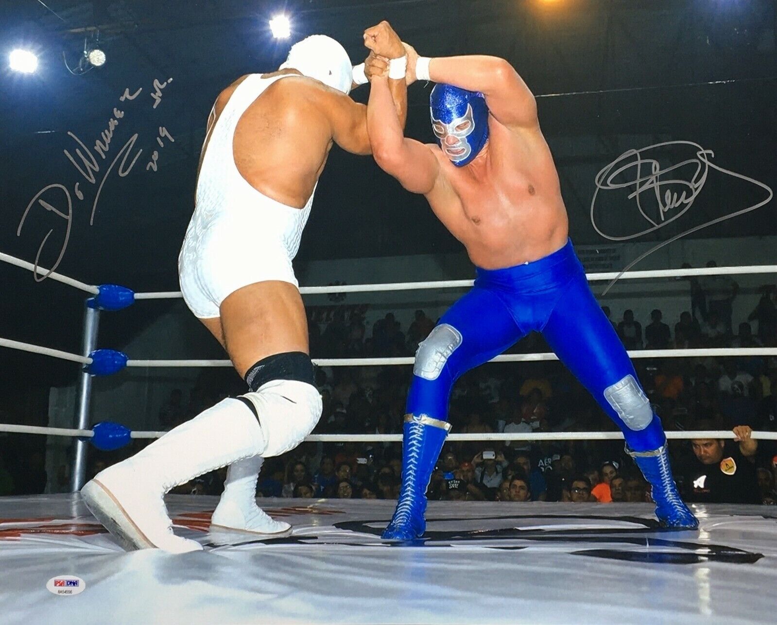 Blue Demon Jr. & Dr. Wagner Signed 16x20 Photo Poster painting *Lucha Libre PSA 8A54556