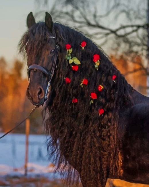 

Black Horse With Red Flowers – Paint By Numbers - 40*50CM, 501 Original