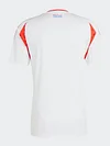 2024-2025 Chile National Team Soccer Jersey Away perfectftball