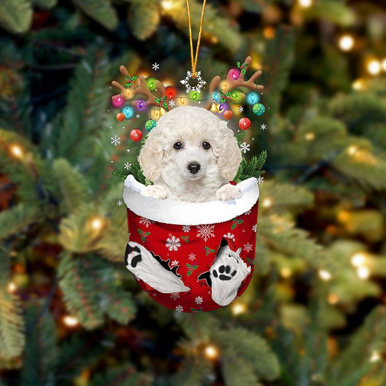 WHITE Toy Poodle In Snow Pocket Christmas Ornament
