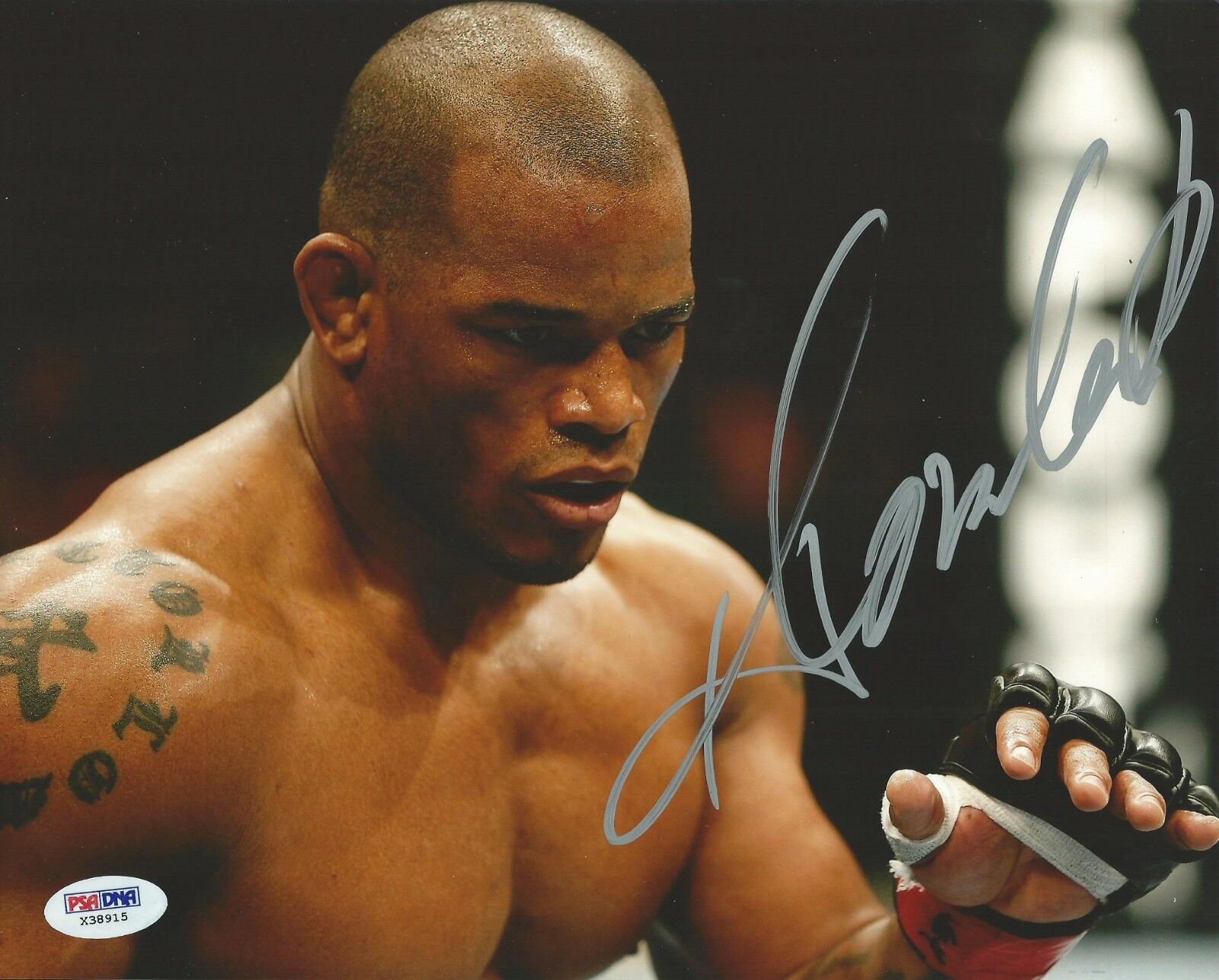 Hector Lombard Signed UFC 8x10 Photo Poster painting PSA/DNA COA Picture Autograph 171 166 149 1