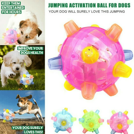 Dog Jumping Activation Ball Pet Toys