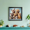 Funny Cat-Full Round Diamond Painting 30*30CM