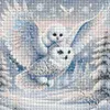 Chouette &agrave; t&ecirc;te blanche - perceuse ronde peinture diamant - 30*30cm