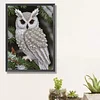 Owl-Special Shaped Diamond Painting