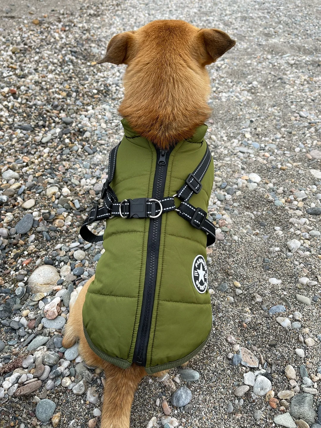 LuluPawz&trade; 3 in 1 Winter Coat