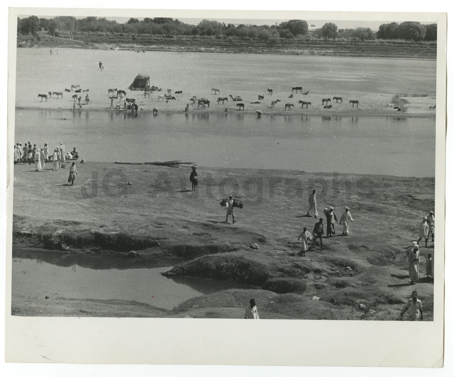 Republic of the Sudan, Africa - Nile River - Vintage 8x10 Fiber Photo Poster painting - 1958