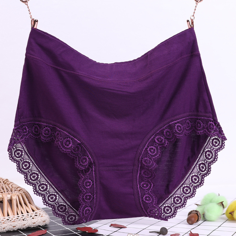  thdmladies Plus Size Mid High Waist Briefs thedmladies