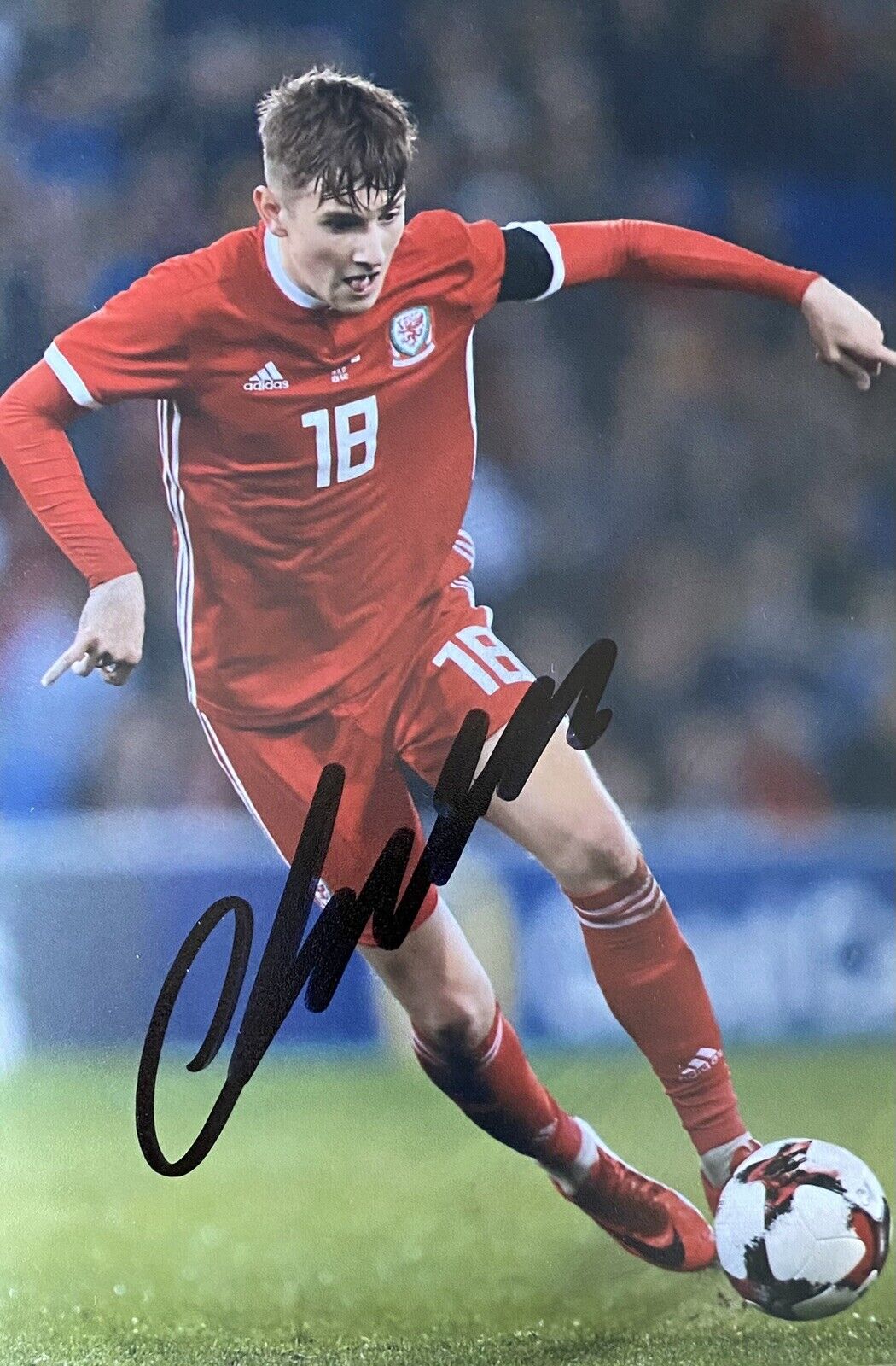 Chris Mepham Genuine Hand Signed Wales 6X4 Photo Poster painting