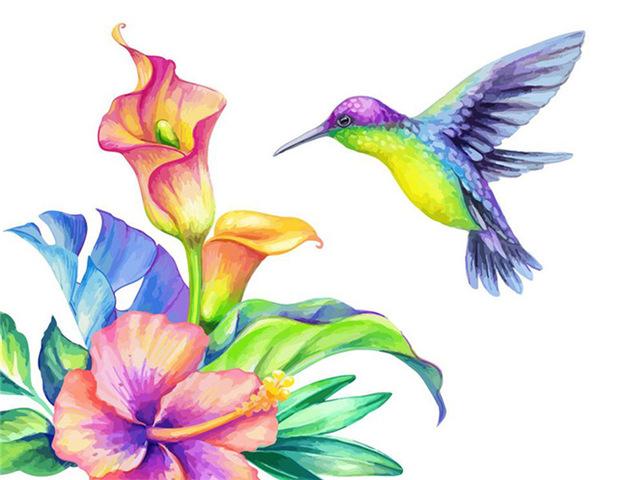 

Colourful Humming Bird – Paint By Numbers - 40*50CM, 501 Original