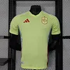 2024  Player Version Spain Away Soccer Shirt