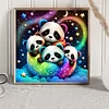 Diamond Painting -DIY Round Drill Panda(40x40cm)