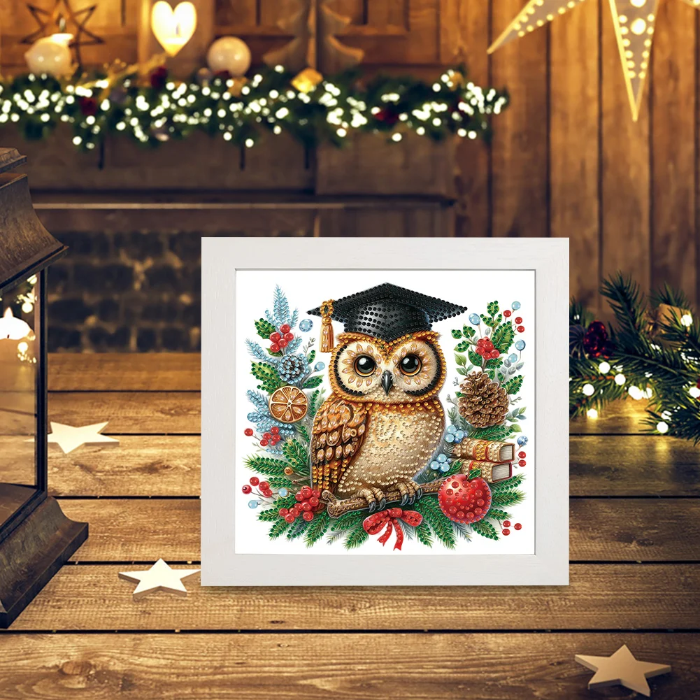 5D DIY Partial Special Shaped Drill Diamond Painting Xmas Owl 22.8x22.8cm【With Frame】
