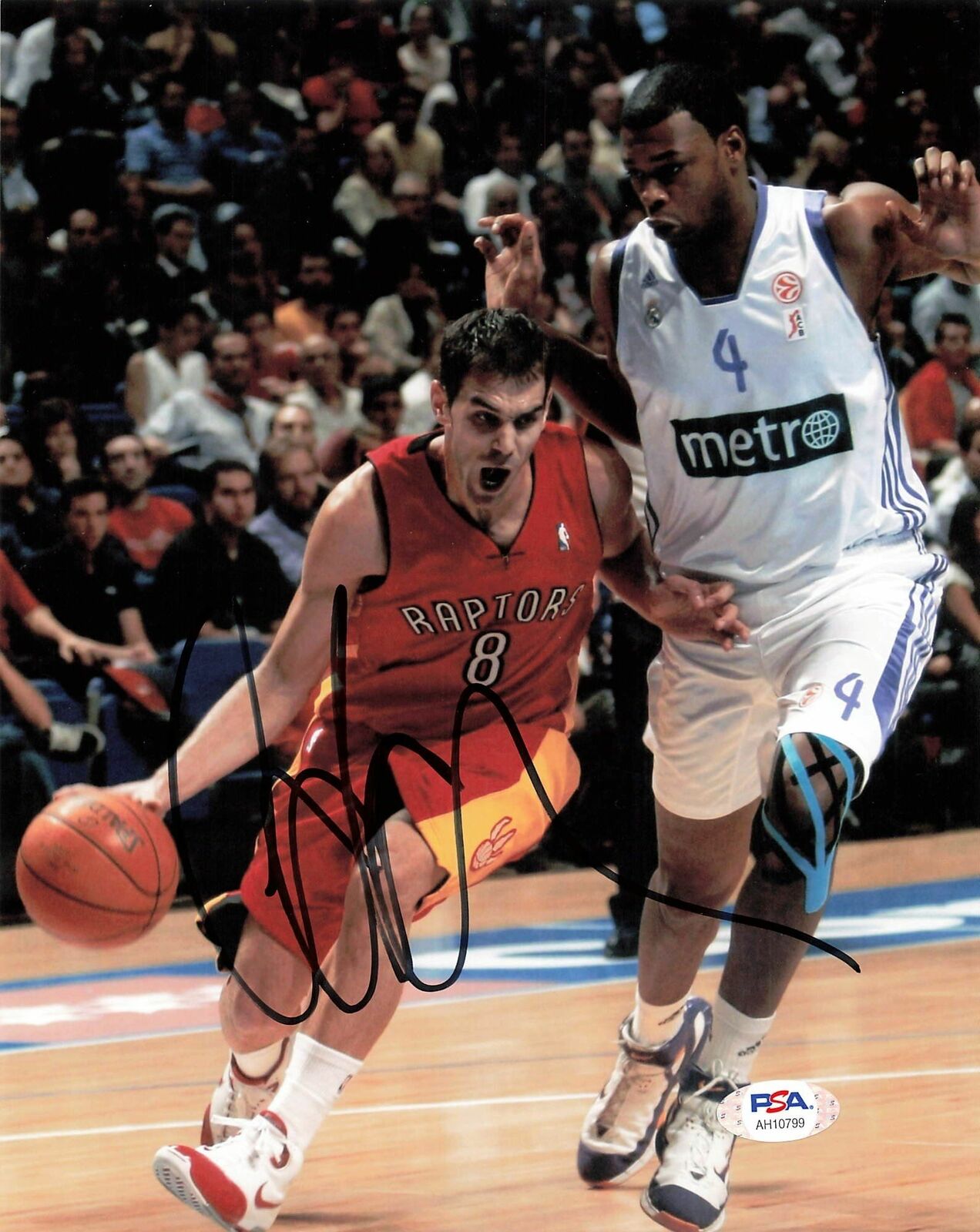 Jose Calderon signed 8x10 Photo Poster painting PSA/DNA Toronto Raptors Autographed