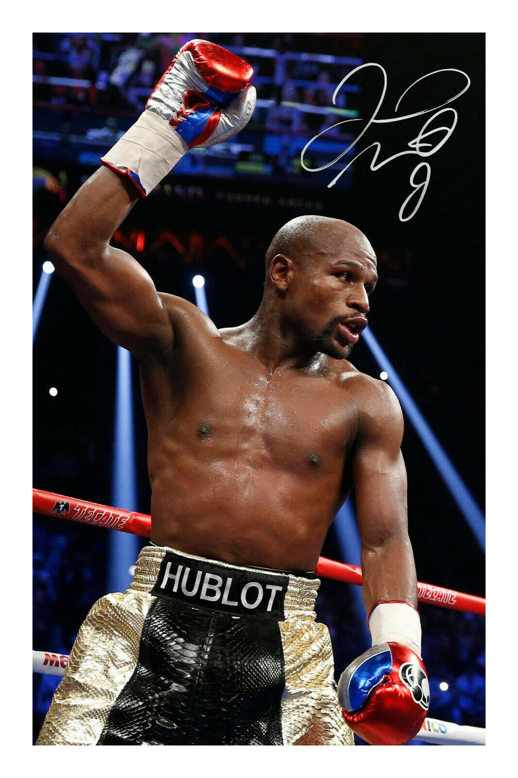 Floyd 'Money' Mayweather Signed Photo Poster painting Print Poster Autograph TBE TMT