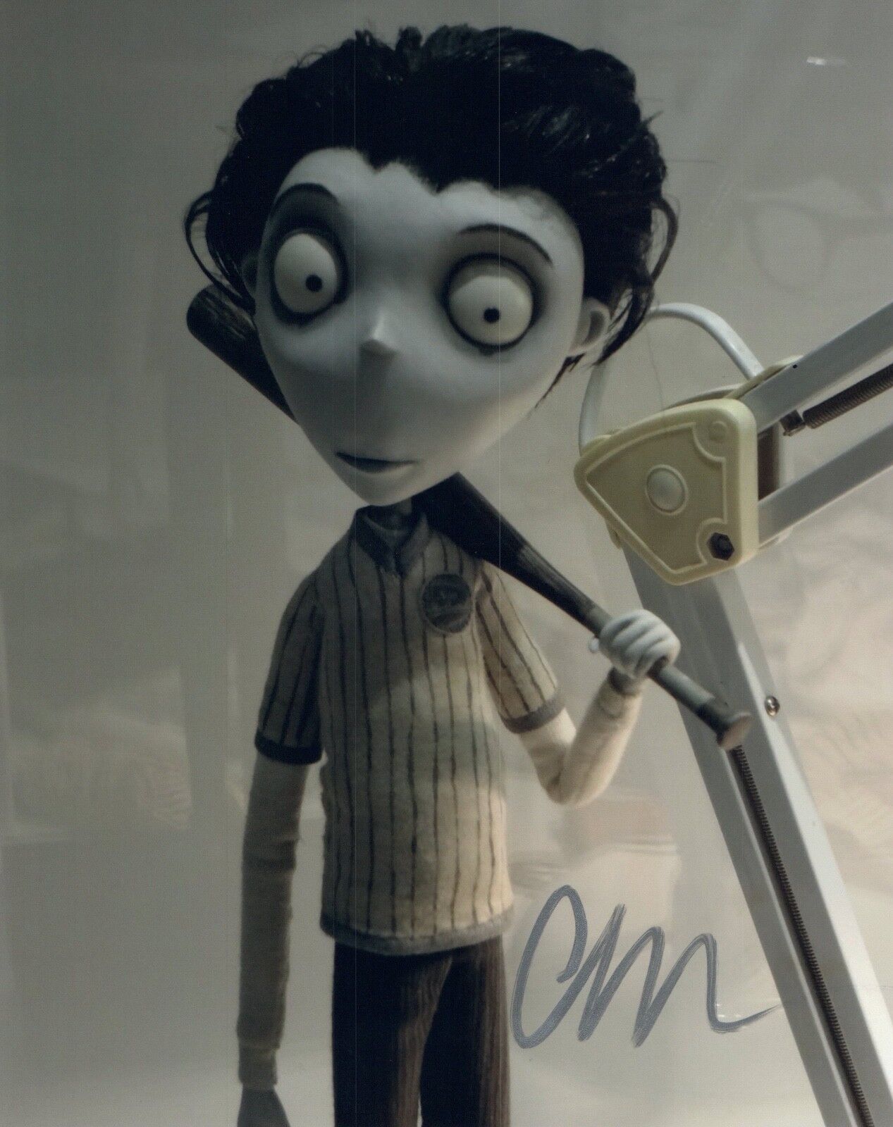 Charlie Tahan Signed Autographed Frankenweenie 8x10 Photo Poster painting Actor COA