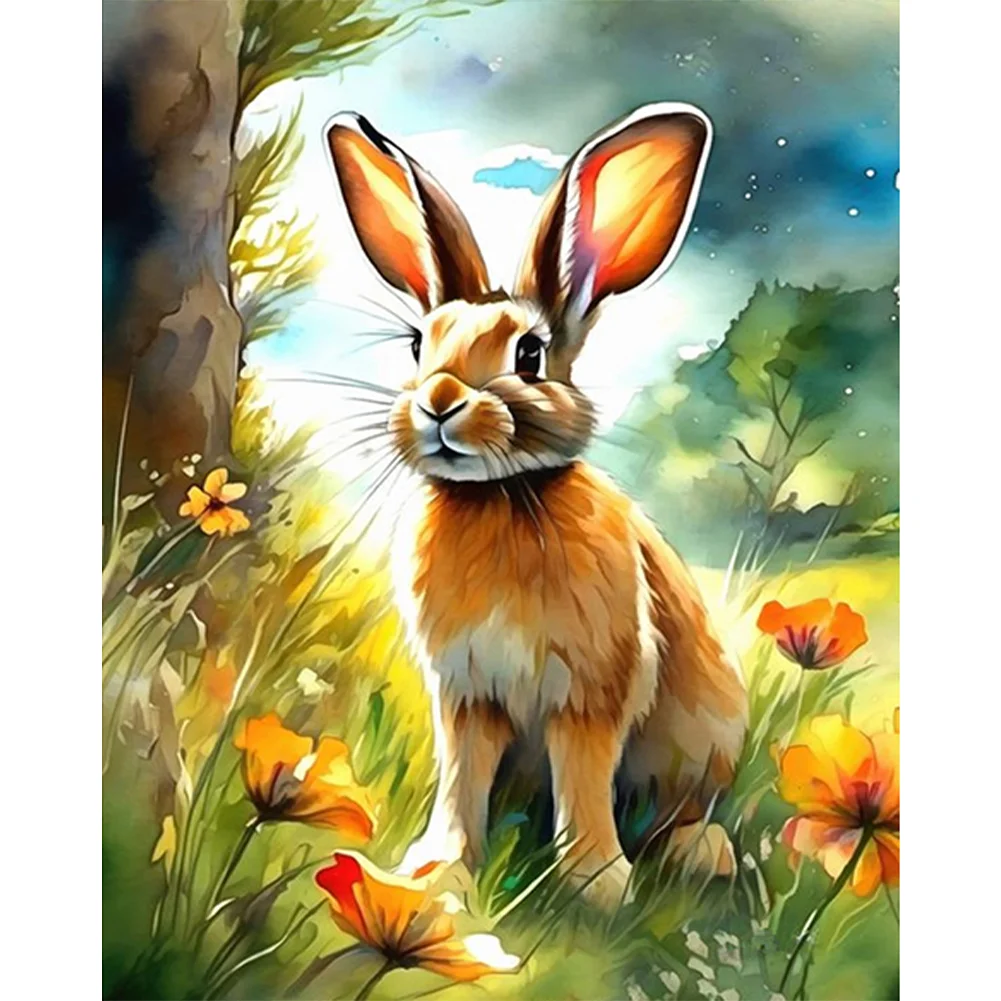 DIY Paint By Number 40*50cm - Rabbit