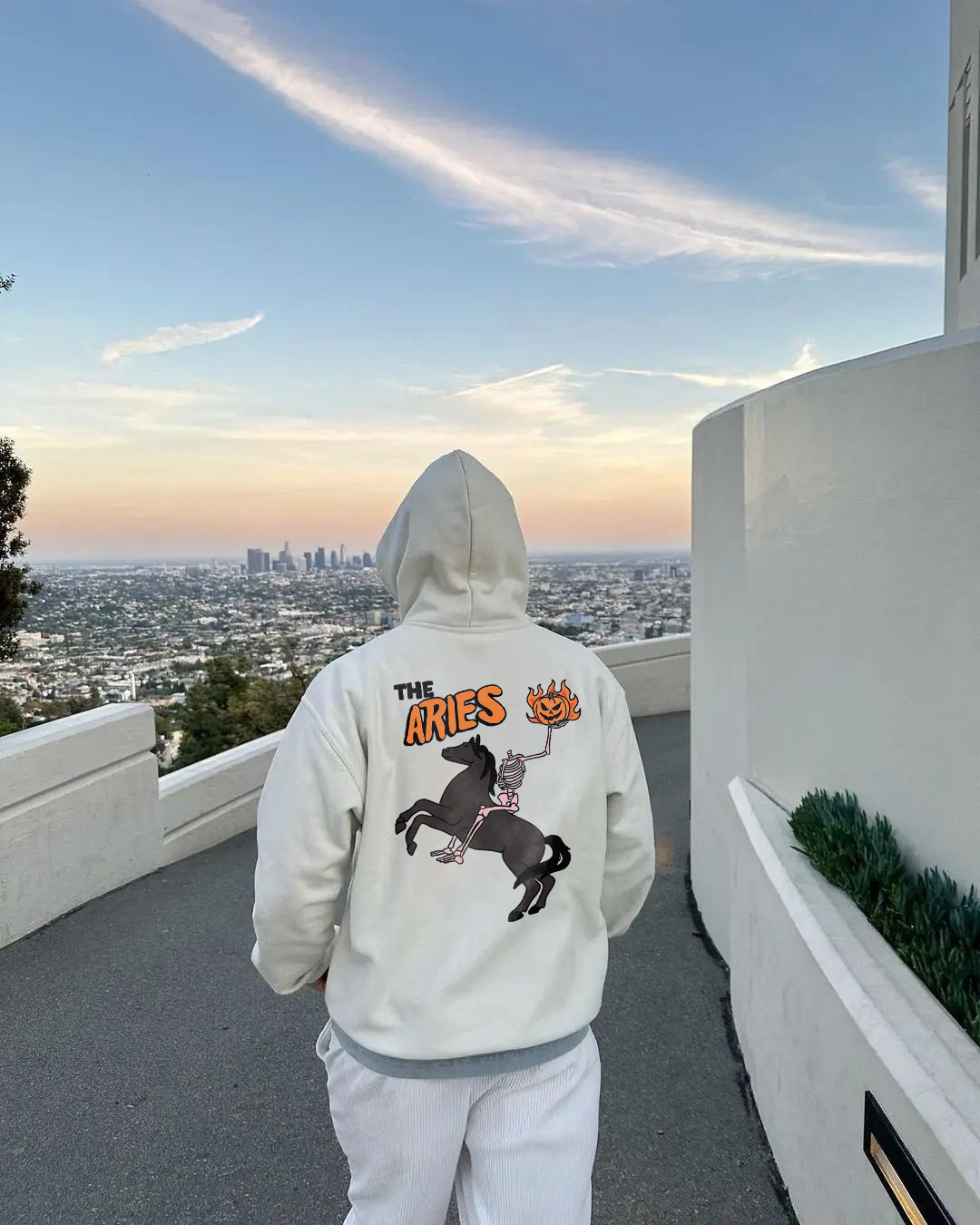 The Aries Printed Men's Casual Hoodie