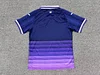 2025/2026 Anderlecht Home Soccer Jersey 1:1 Thai Quality