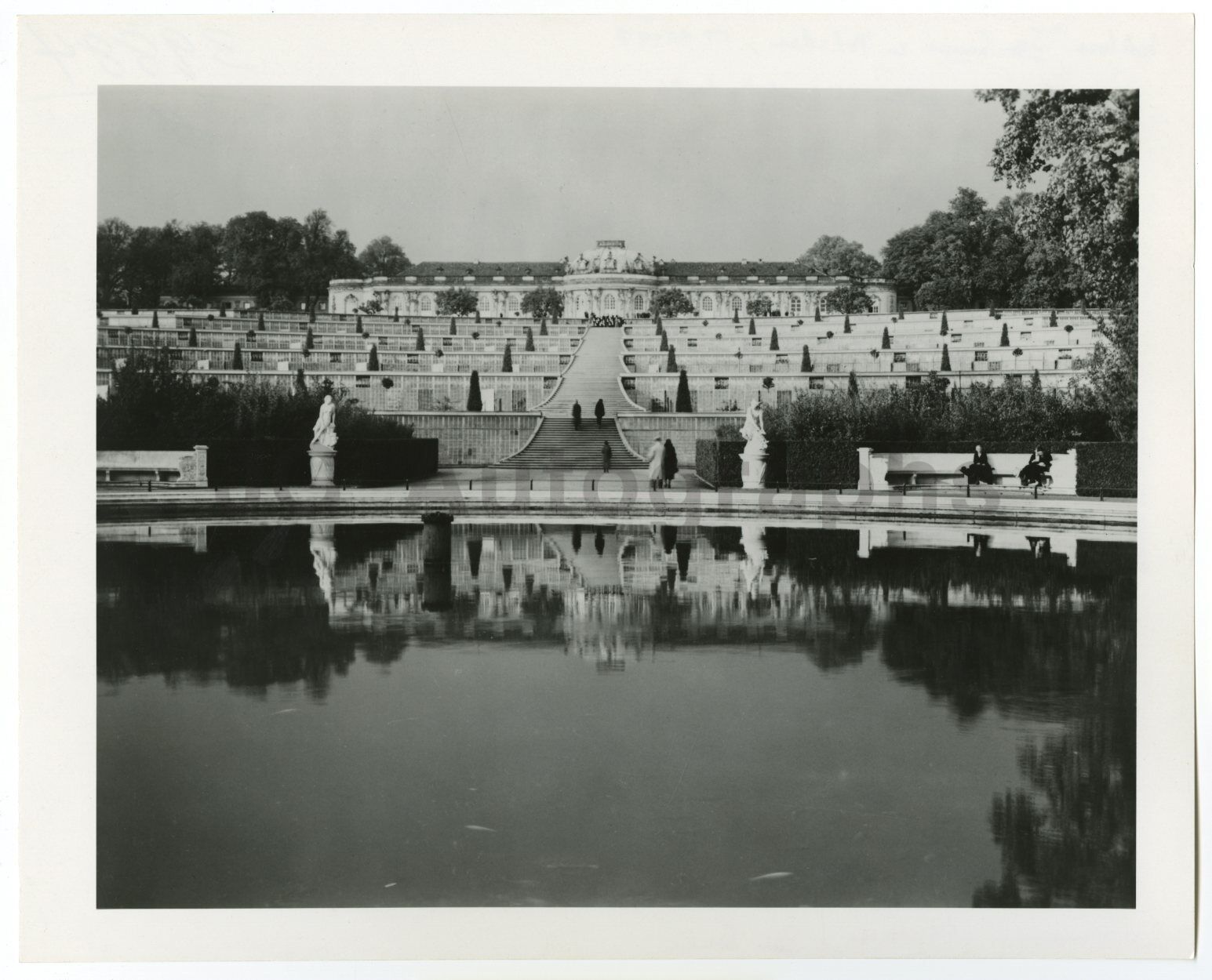 German History - Sanssouci Palace, Potsdam - Vintage 8x10 Photo Poster paintinggraph