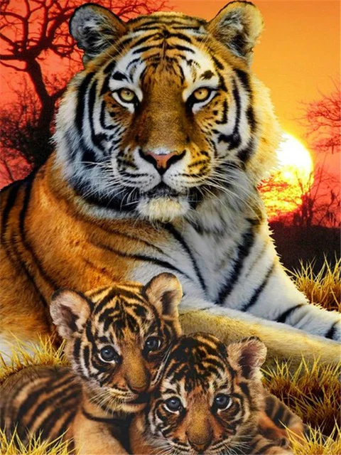 Diamond Painting - Full Round/Square Drill -Tiger(30*40 - 50*60cm)