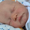 Babiesprincess Lifelike Reborn Baby Doll, Babiesprincess