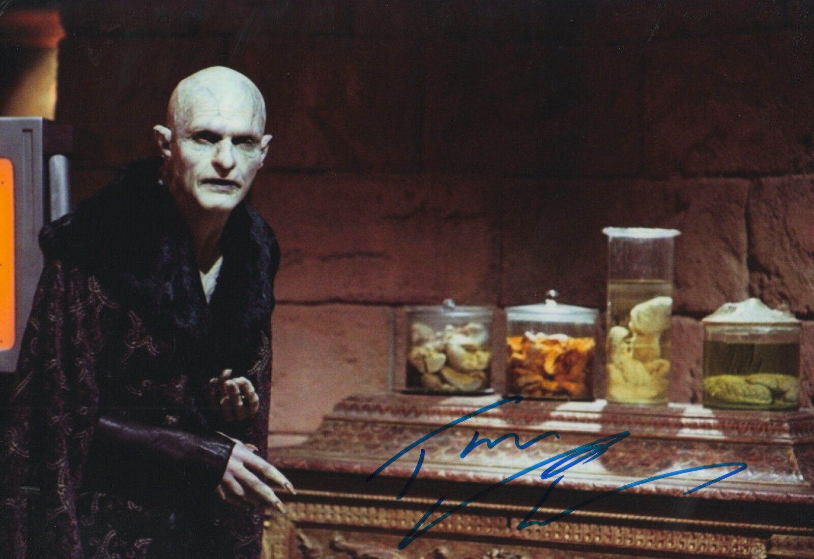 Thomas Kretschmann signed 8x12 inch Photo Poster painting autograph