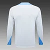 2024/2025 Tottenham Half-Pull Training Suit Light Gray Football Shirt 1:1 Thai Quality