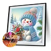 Diamond Painting - Partial Special Shaped Drill - Winter Snowman(Canvas|30*30cm)