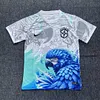 2025/2026 Brazil Special Edition White Blue Bird Football Shirt 1:1 Thai Quality love fball
