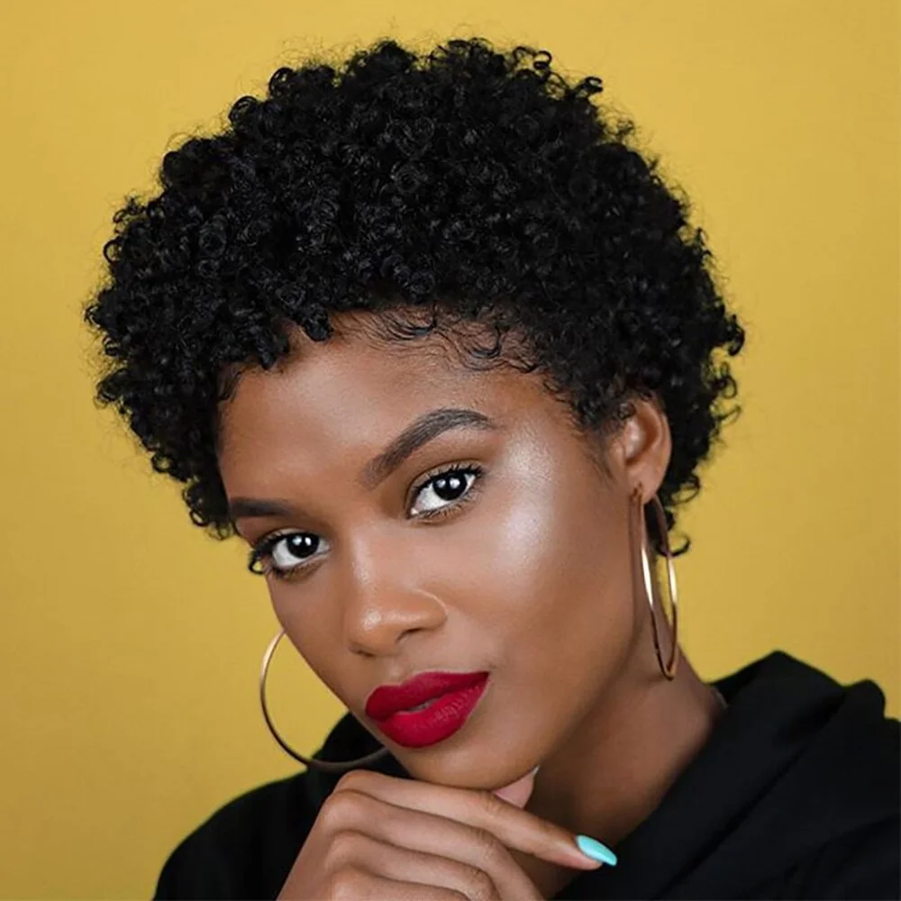 Zaesvini Hair®|Heat Resistant Black Fluffy Curly Wig Zaesvini